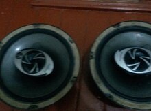 Dinamik "Pioneer"