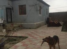 Həyət evi, Qobu qəs.