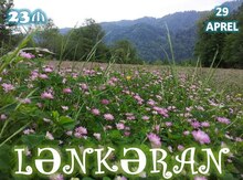 Lənkəran turu