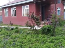 Həyət evi kirayə verilir, Qax ş.
