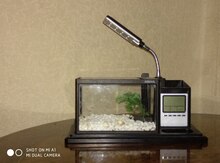 Akvarium