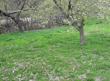 10 sot torpaq sahəsi, Şahbuz r.