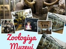 Zoologiya Muzeyi məktəbli turları