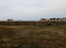 12 sot torpaq sahəsi, Türkan qəs.