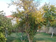 3.5 sot torpaq sahəsi, Maştağa q.