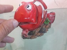 "Nemo" dekor balığı