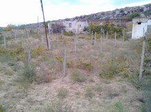 23 sot torpaq sahəsi,Maştağa qəs.