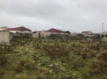 16 sot torpaq sahəsi, Şüvəlan qəs.