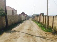 5 sot torpaq sahəsi, Saray qəs.