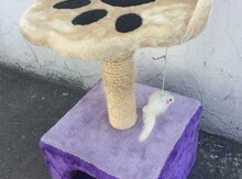 Pişik yuvası