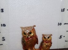 Bayquş mücrü