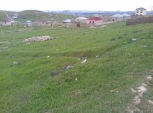 22 sot torpaq sahəsi, Çiçək qəs.