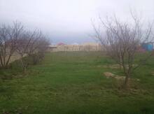 24 sot torpaq sahəsi, Saray qəs.