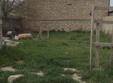 3 sot torpaq sahəsi, Saray qəs.