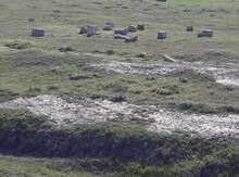 10 sot torpaq sahəsi, Atyalı qəs.