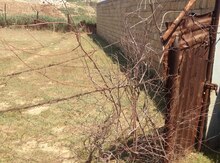 8 sot torpaq sahəsi, Ceyranban bağları