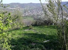 10 sot torpaq sahəsi, Quba r.