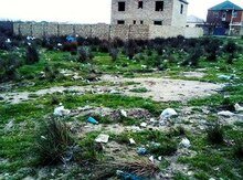 7 sot torpaq sahəsi, Saray qəs.