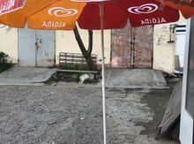 Çətir