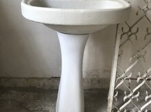 Тюльпан