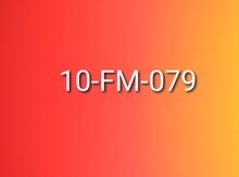 Avtomobil qeydiyyat nişanı - 10-FM-079