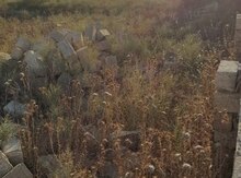 2 sot torpaq sahəsi, Sulutəpə qəs.