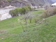 40 sot torpaq sahəsi, İsmayıllı r.