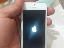 Apple iPhone 5
