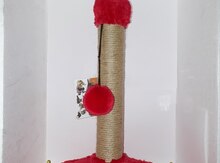 Dırnaqyonan