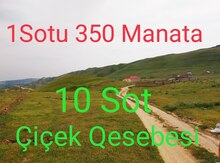 2 sot torpaq sahəsi, Sulutəpə qəs.