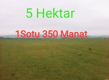 500 sot torpaq sahəsi, Abşeron r.