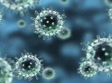 İnfeksiya və virusların təbii müalicəsi