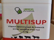 Multivitamin "Multisup-VN" 