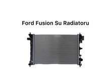 "Ford Fusion" su radiatoru