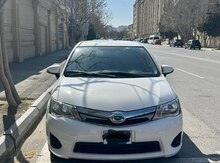 "Toyota Prius /Corolla Fielder" icarəsi
