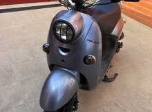 Moped Pollo, 2022 il