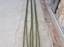 Bambuk 
