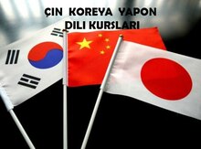 Koreya, Çin, Yapon dili kursları