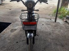 Elektro Moped, 2023 il