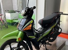 Moped "MOON ZX50", 2023 il