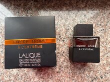 "Lalique Encre Noire A L'Extreme" ətri