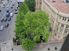 3-otaqlı mənzil kirayə verilir, Nərimanov r., 85 m²