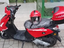 Moped 2023 il
