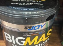 Protein "BigMass Gainer"