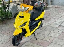 Moped, 2022 il 