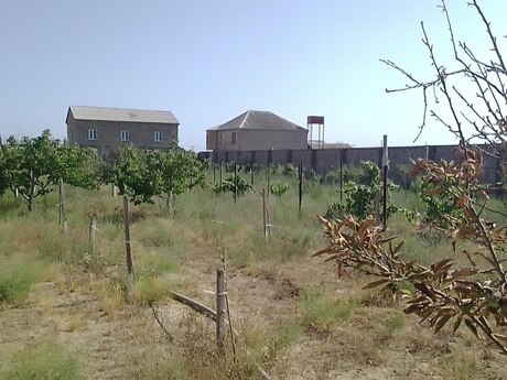 Продаётся 2-комнатный дом, Zirə, 500 м², 120 000 AZN, фото 5 / 12