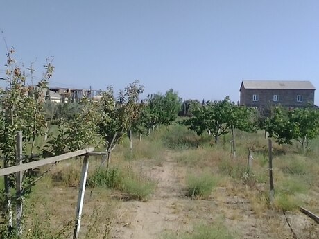 Продаётся 2-комнатный дом, Zirə, 500 м², 120 000 AZN, фото 3 / 12
