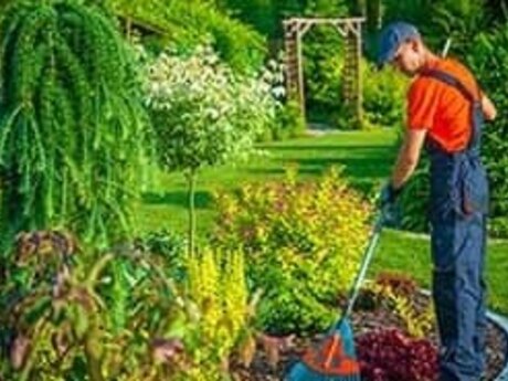 Ищу работу охранником