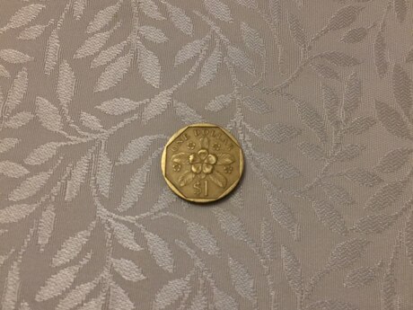 1 dollar 1 dollar
