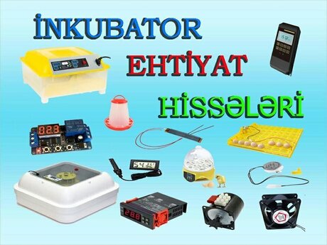 İnkubator və ferma aksesuarları